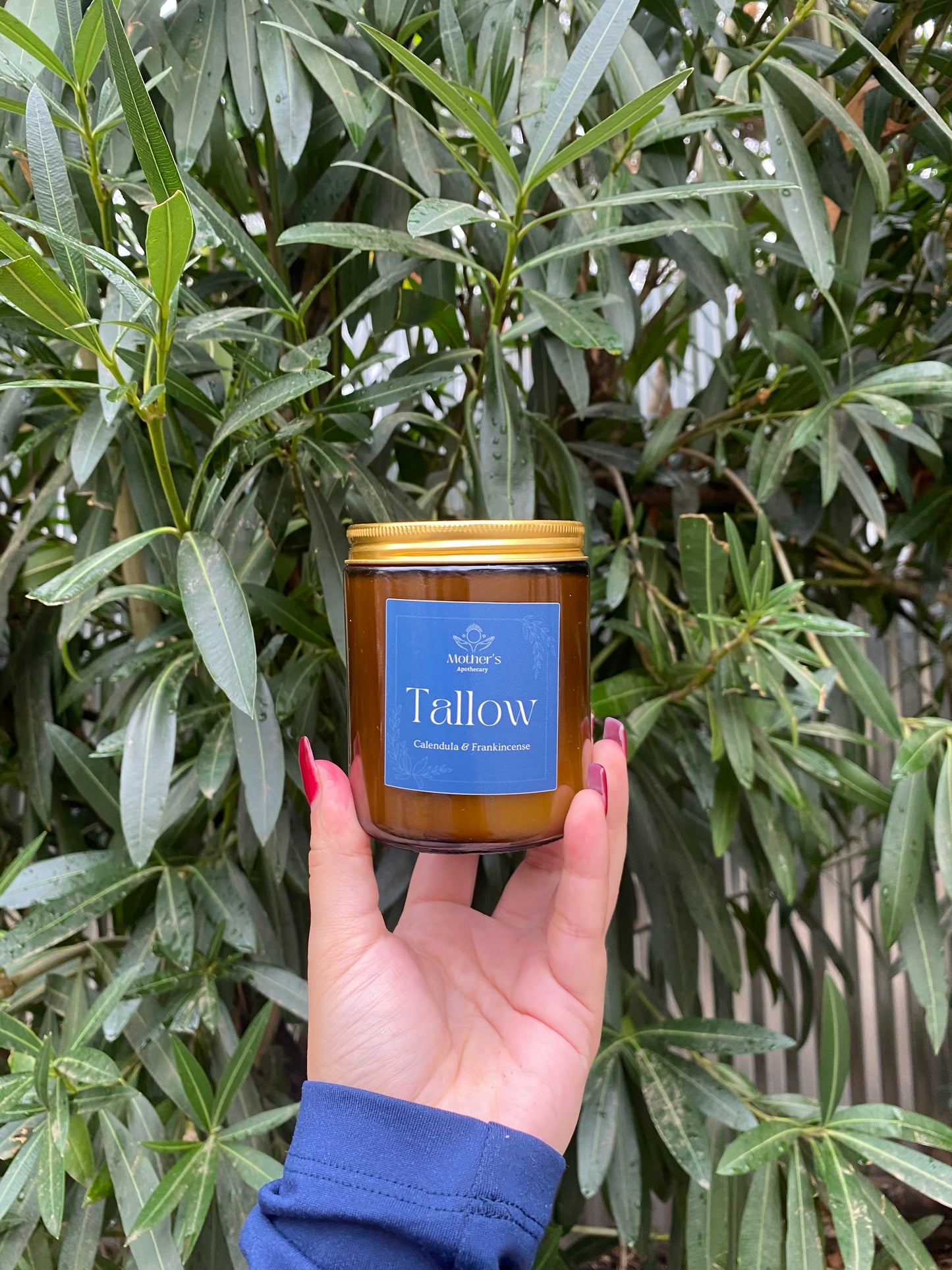Tallow Body Butter
